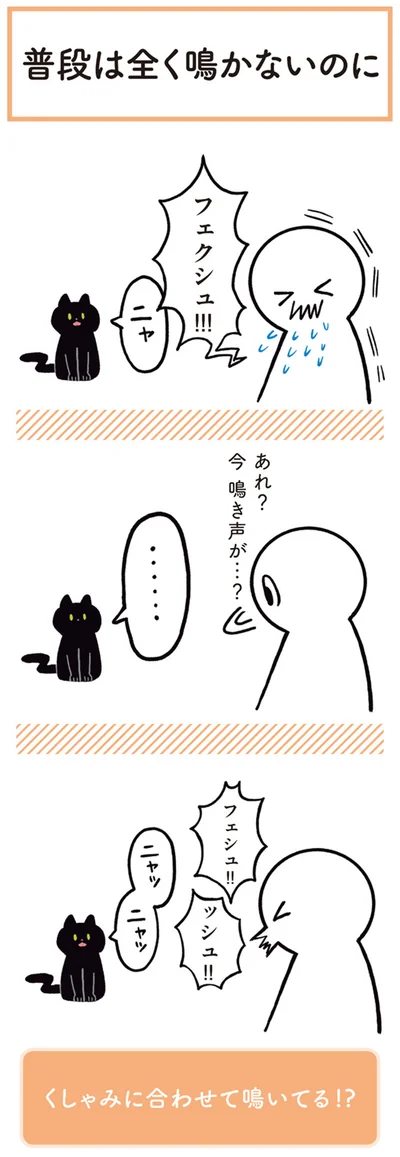 あれ？　今鳴き声が…？