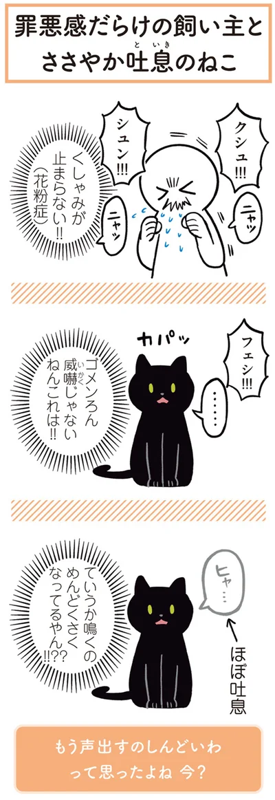 くしゃみが止まらない！！