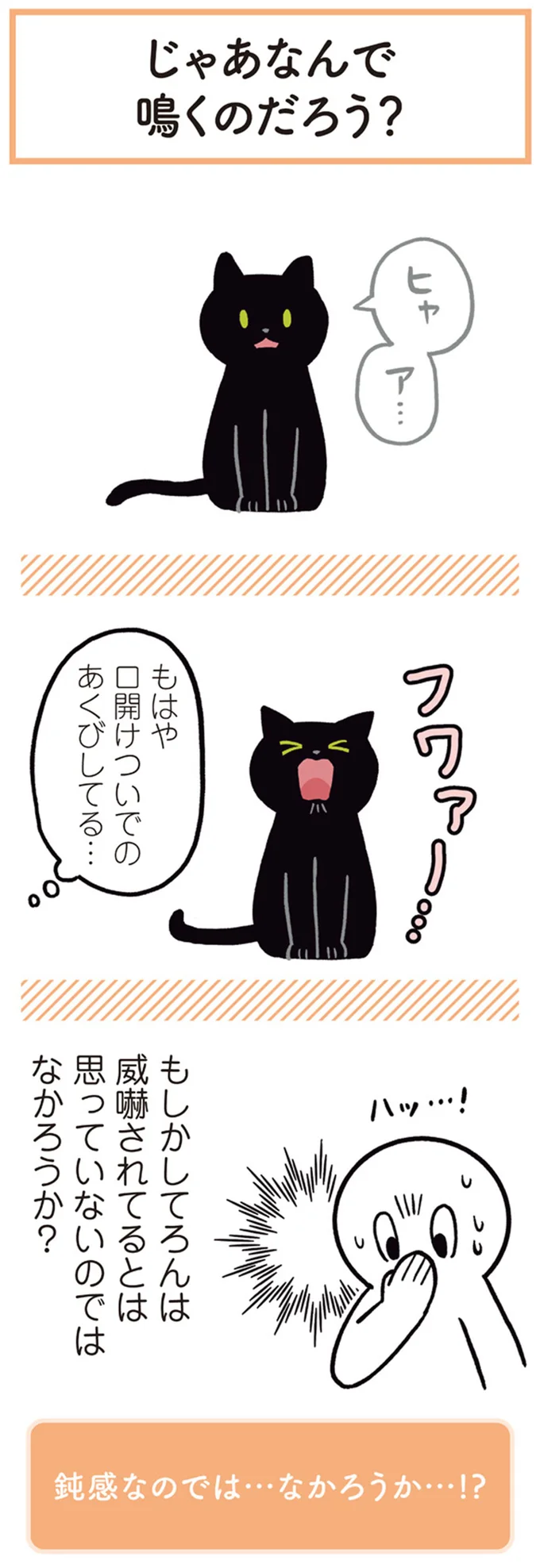 もはや口開けついでのあくびしてる…