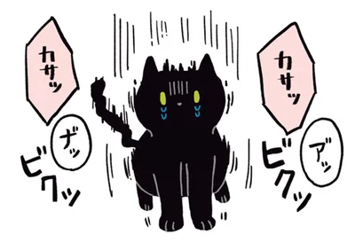 カサッ　カサッ