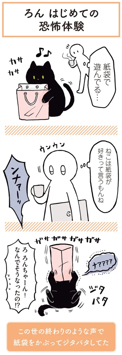ねこは紙袋が好きって言うもんね