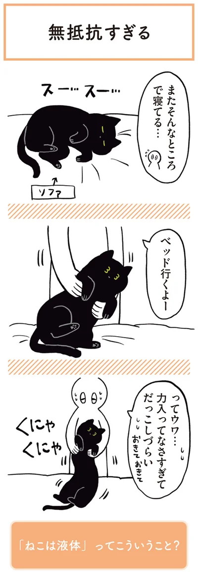 またそんなところで寝てる…