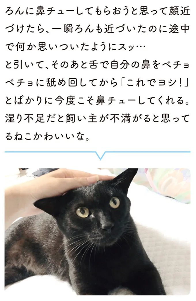 湿り不足だと飼い主が不満がると思ってるねこかわいいな