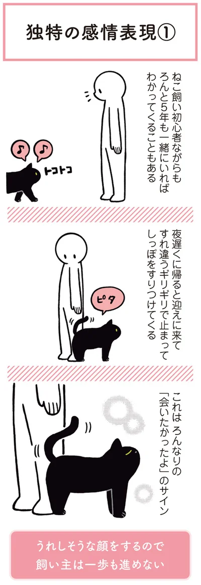 うれしそうな顔をするので飼い主は一歩も進めない