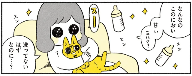 奇跡の生き物!? 温もりと匂いに癒やされる子猫という存在／茶トラのやっちゃん（2）