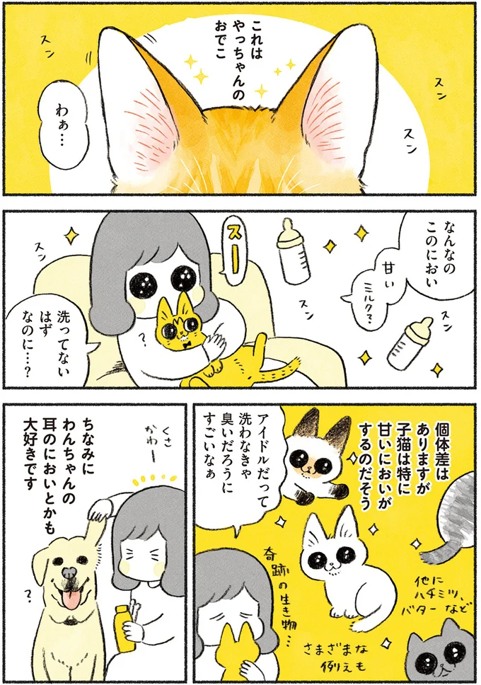 やっちゃんのにおい