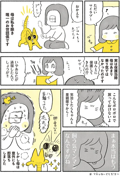 やっちゃんと母