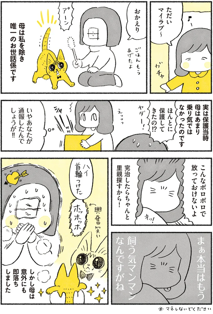 やっちゃんと母