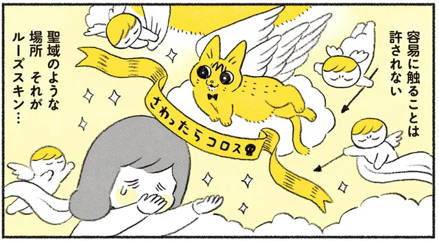 猫の聖域「ルーズスキン」。普段は触れないのに、ある日奇跡が起きた!?／茶トラのやっちゃん（5）