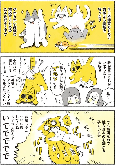 神様にグッドデザイン賞をあげたいくらい