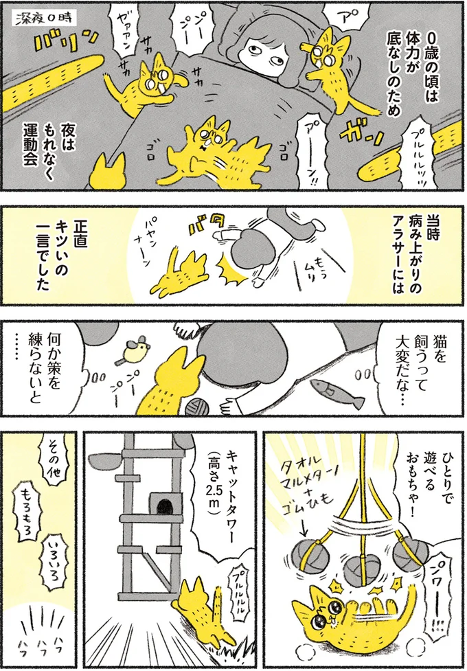 猫を飼うって大変だな…