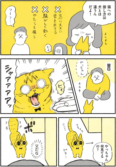 やっちゃん何見てるの？
