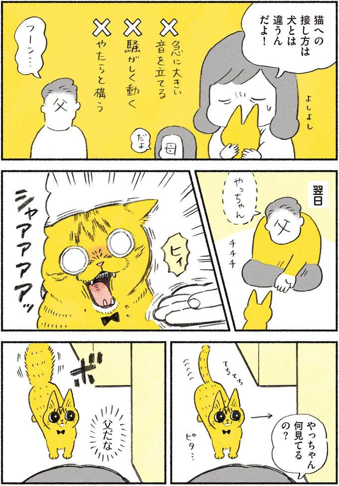 やっちゃん何見てるの？