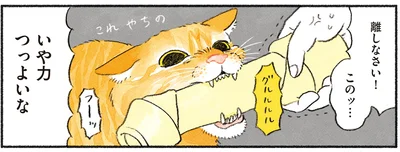 離しなさい！