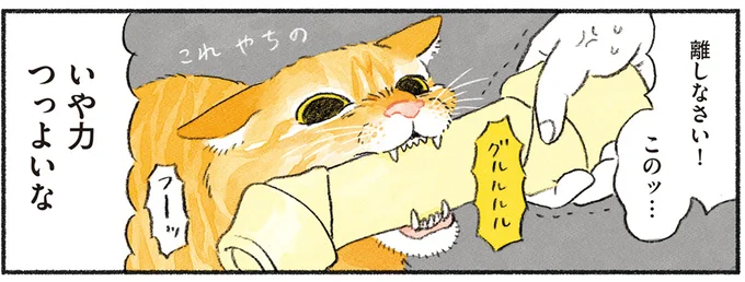 離しなさい!