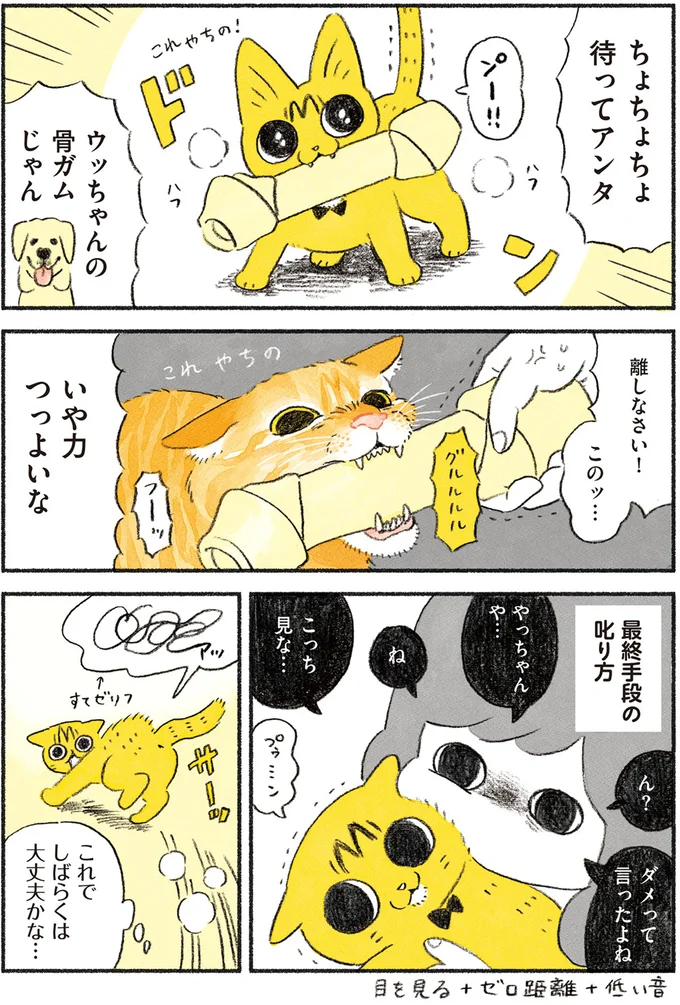 これでしばらくは大丈夫かな…