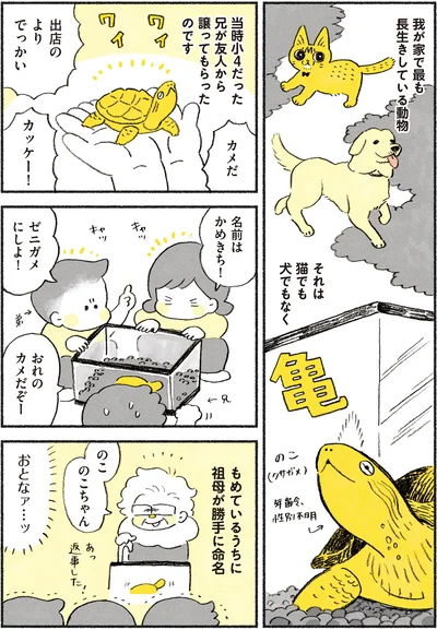 やっちゃんとのこちゃん