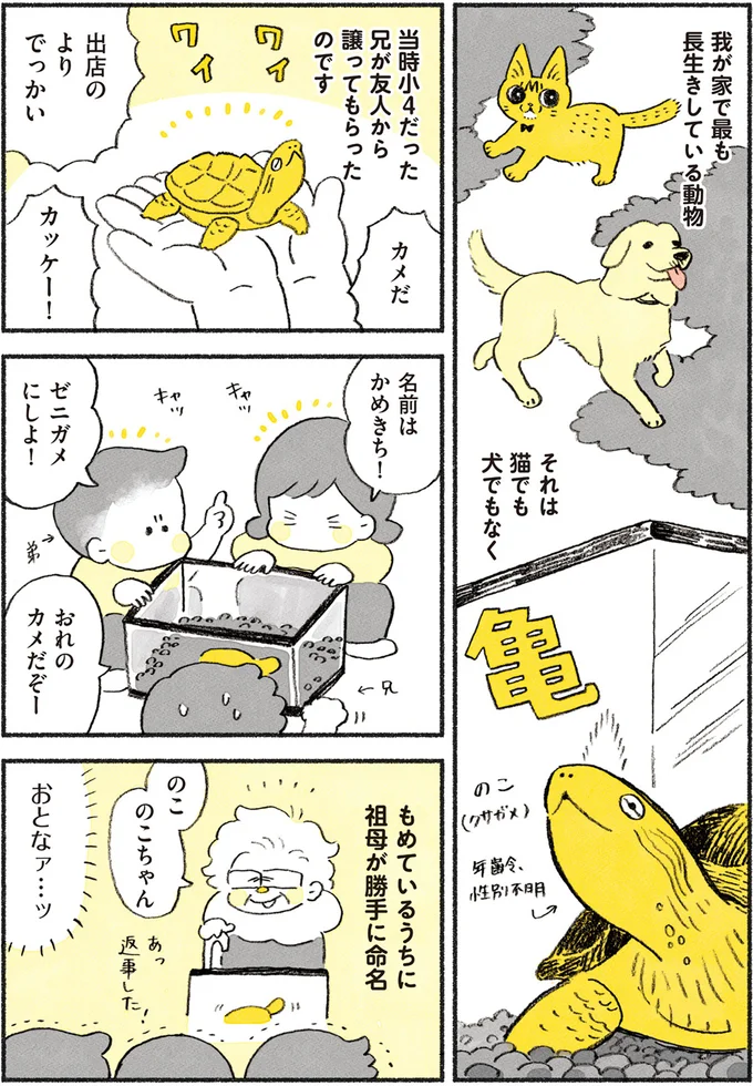やっちゃんとのこちゃん
