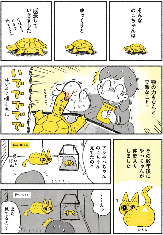 のこちゃん見てたの？