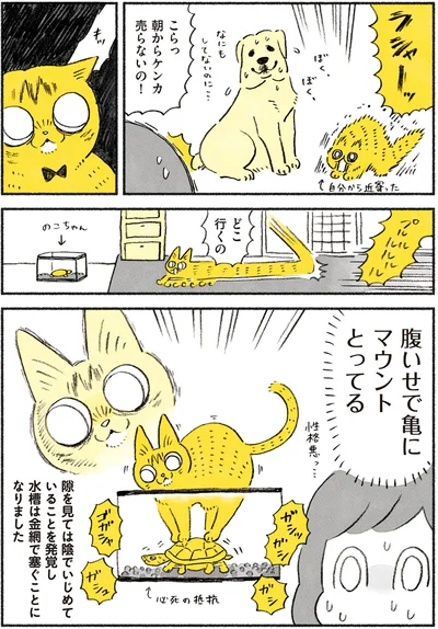 隙を見ては陰でいじめていることを発見