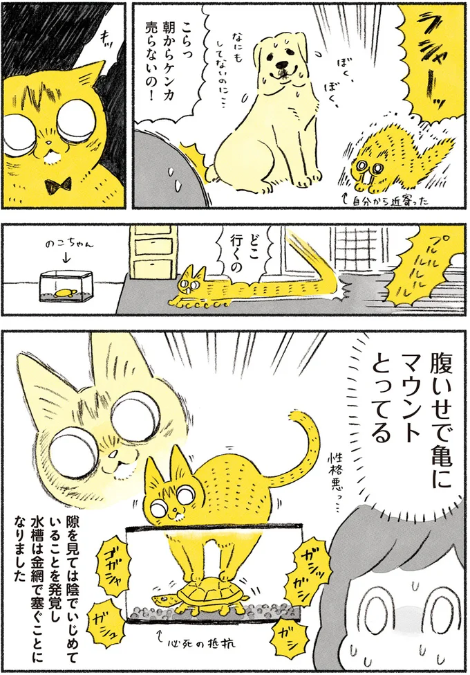 隙を見ては陰でいじめていることを発見
