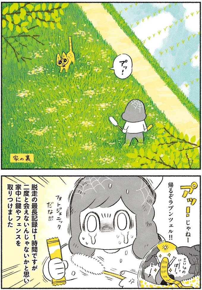 家中に鍵やフェンスを取りつけました