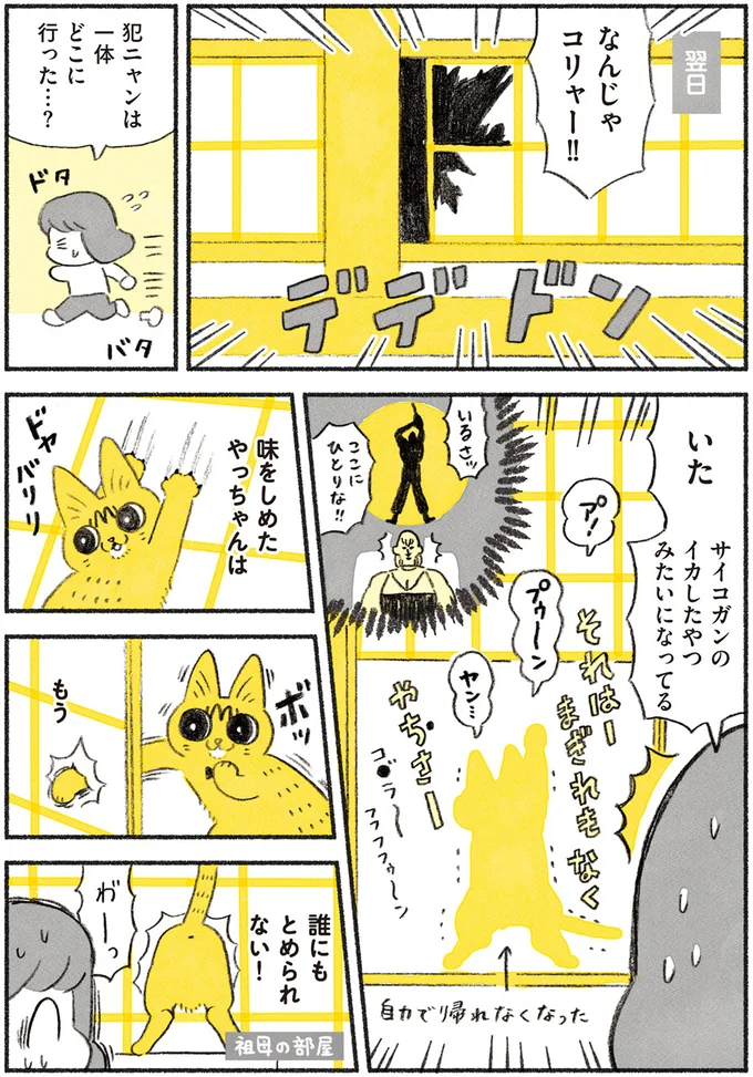 なんじゃコリャー！！