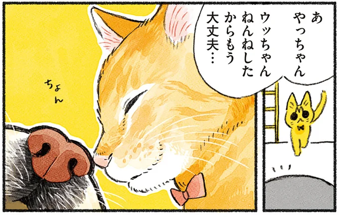 ウッちゃんに鼻チョン