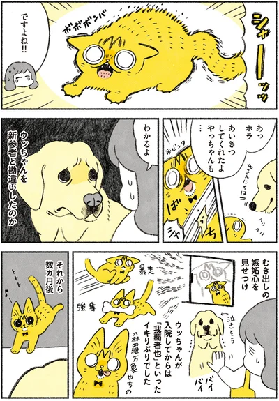 ですよね！！