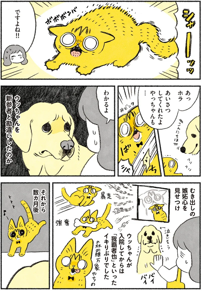 ですよね！！