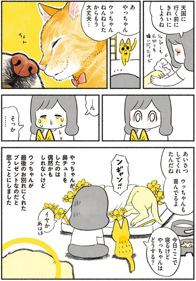 あいさつしてくれたんだね