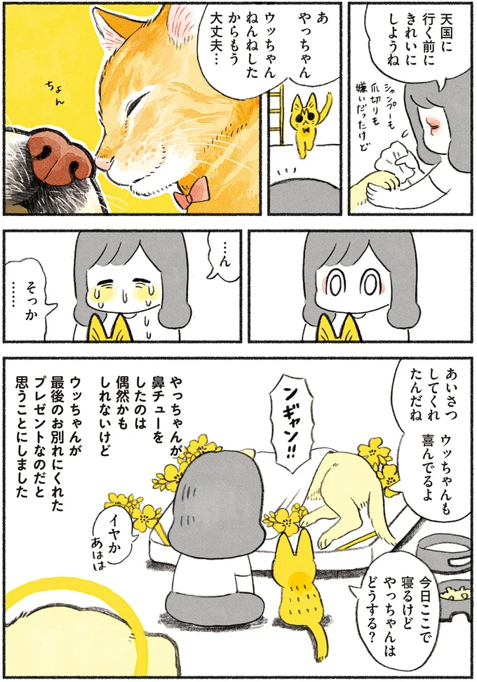 あいさつしてくれたんだね