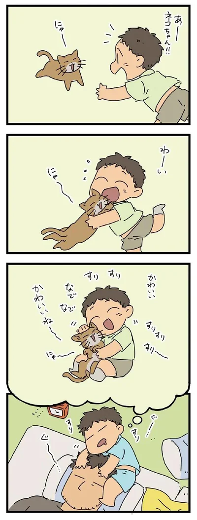 夢ネコ