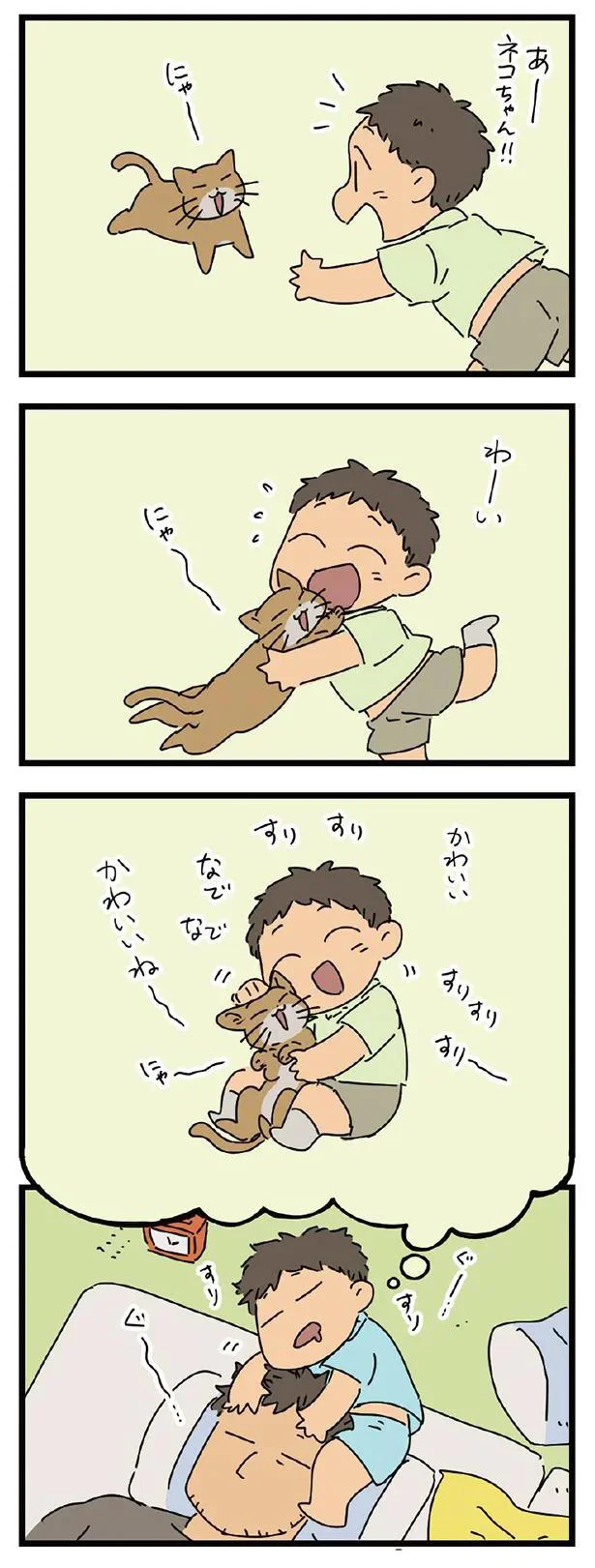 夢ネコ