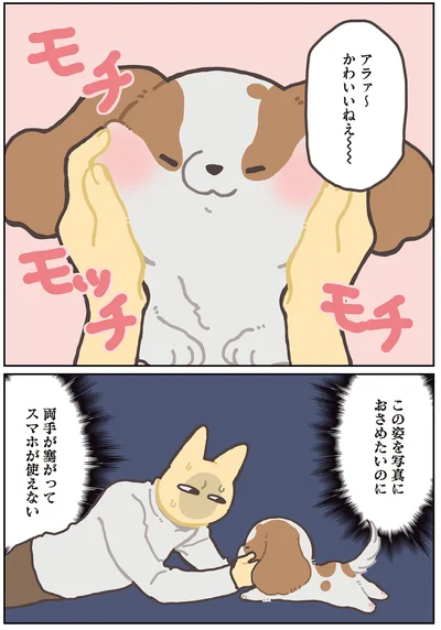 写真におさめたいのに