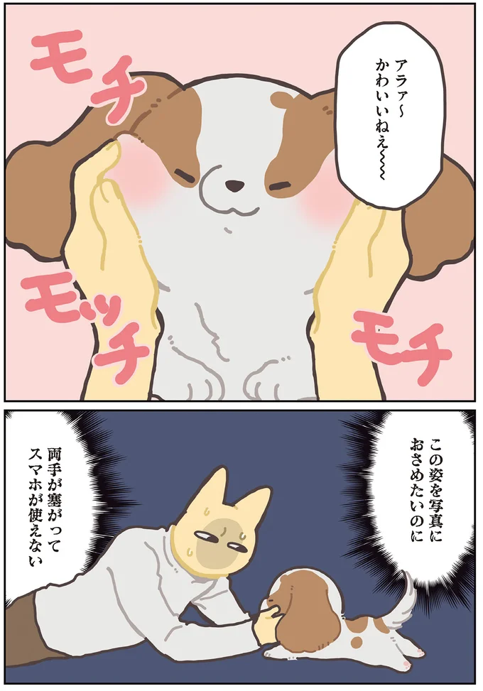 写真におさめたいのに
