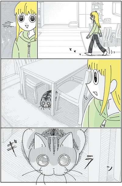 飛びつこうとしてるネコ