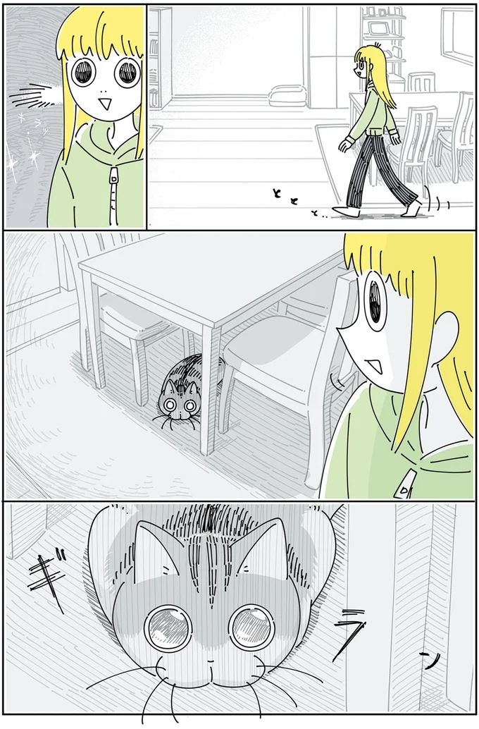 飛びつこうとしてるネコ