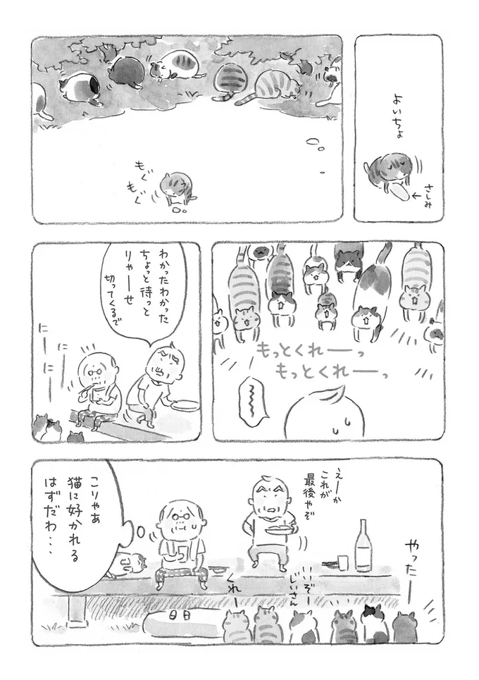 こりゃあ猫に好かれるはずだわ…
