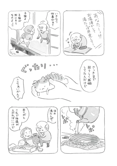 子猫が死にそうなのよっ！！