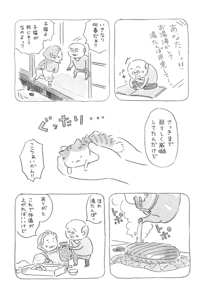 子猫が死にそうなのよっ！！