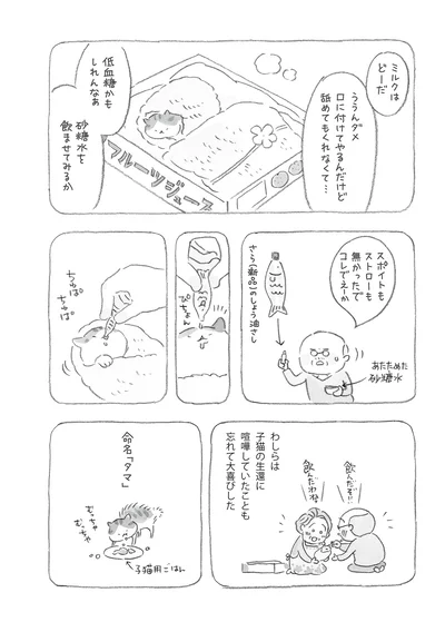命名「タマ」
