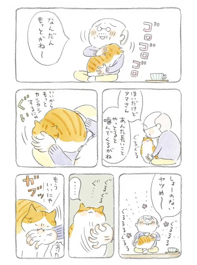 しょーのないヤツめ～