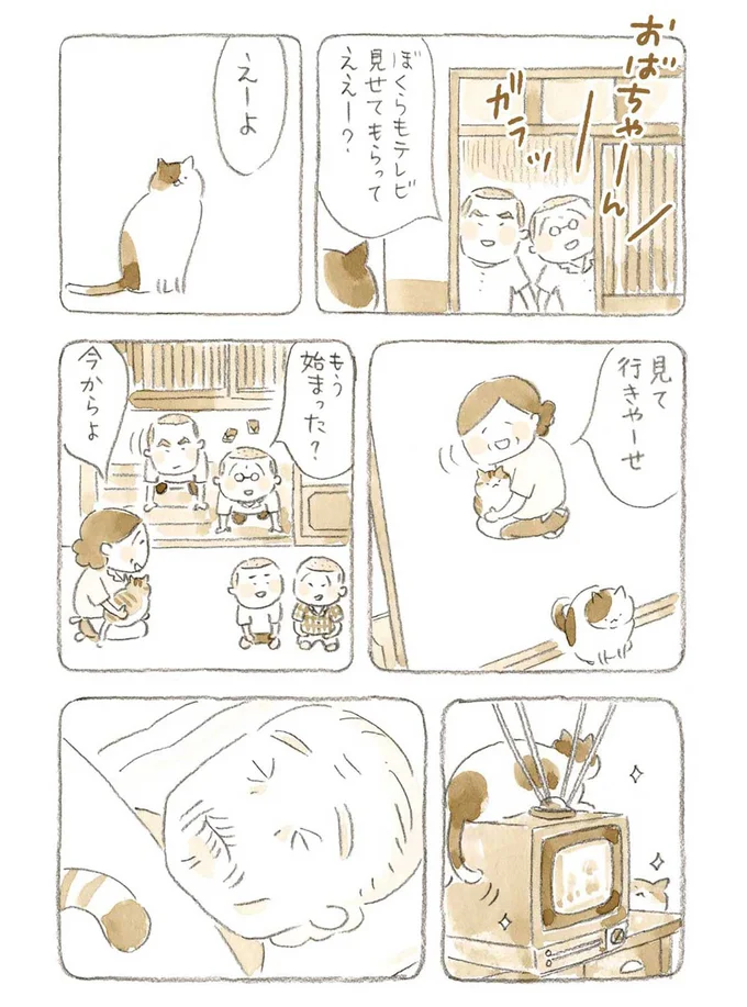 ぼくらもテレビ見せてもらってええー？
