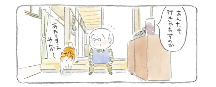いつもの海、いつもの道。島暮らしを送るねこと人々の交流／ねことじいちゃん2（1）