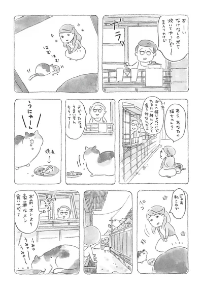 あら、あなたの猫ちゃん？