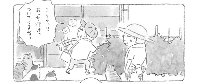 あっち行けっ ついてくるなっ