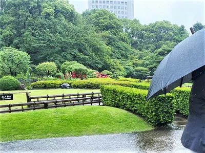 NEWS加藤シゲアキさん、”雨ニモ負ケズ”浴衣姿で神ショットを披露！【「オトナのNEWS」最速とって出し】