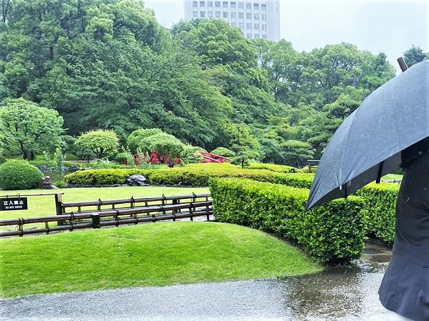  ひとまず撮影場所に集合しましたが、豪雨で屋外での撮影は断念