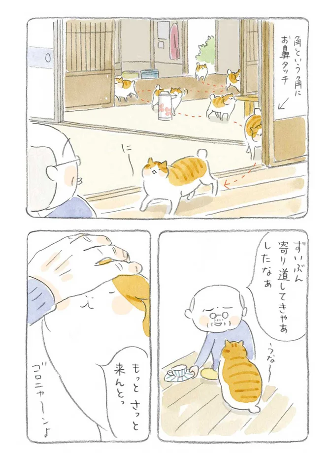 ずいぶん寄り道してきやあしたなぁ